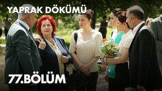Episode 77