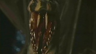 Snakedance (4)