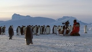 Diaries - Alive in the Freezer