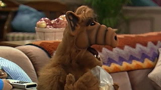 Lookin' Through the Windows