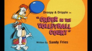 Order in Volleyball Court