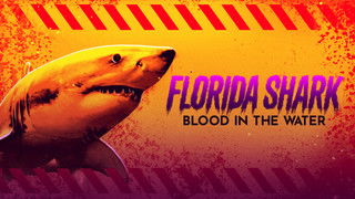 Florida Shark: Blood in the Water