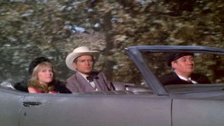 The Wealthy Landowner