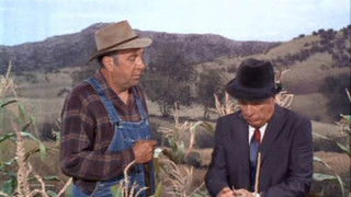 Oliver vs. the Phone Company