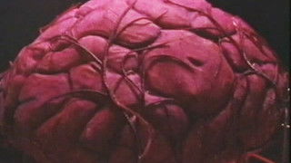 Time and the Rani (4)