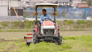 A Budding Farmer Dreams of Peanuts