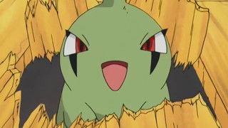 You're a Star, Larvitar!