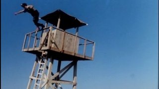 Free Fall