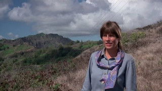 Turkey Shoot At Makapuu