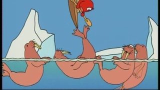 North Pole - Walrus