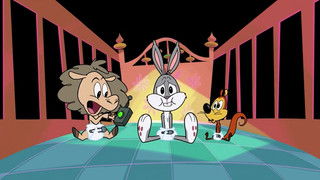 Houston, We Have a Duck Problem