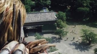 The 8 Brain Beasts of Tsuruga Castle!