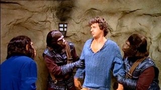 The Interrogation