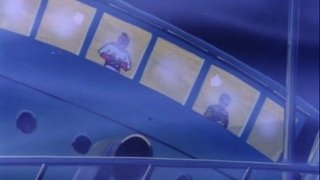 The Protector / Stowaways / The Ghost / Rampage