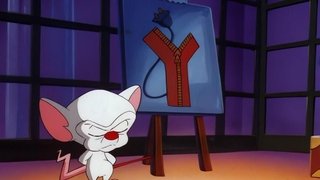 The Pinky And The Brain Reunion Special