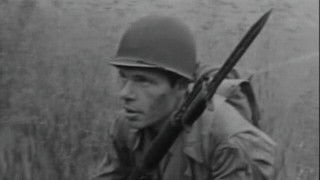 Lost Sheep, Lost Shepherd