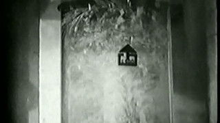 Fury from the Deep (5)