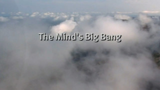 The Mind's Big Bang