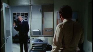 The Investigator