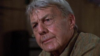 Fathers and Other Strangers (2)