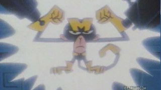 Dial M For Monkey: Peltra