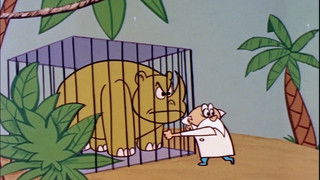 Felix and the Rhinoceros