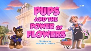Pups and the Power of Flowers