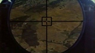 Pilot