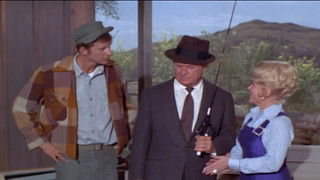 The Liberation Movement