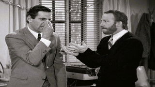 The Mike Van Dyke Show