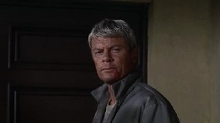 Trek