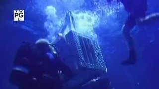 Drowned