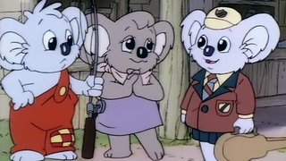 Who is Blinky Bill
