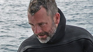 Debris Field of Dreams