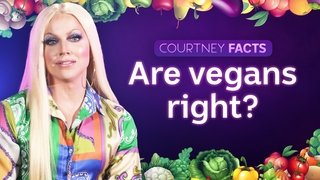 Are vegans right?