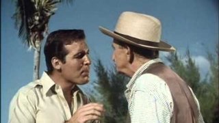 Flipper, the Detective