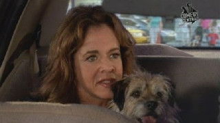 The Truth About Nerds and Dogs