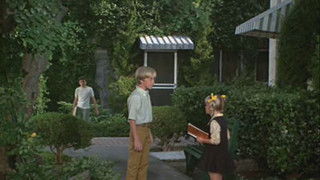 A Fistful of Reasons