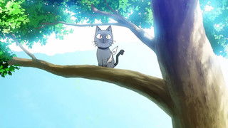 Fate... is Really...