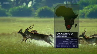 Okavango