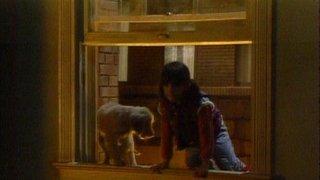 Punky Finds a Home (1)