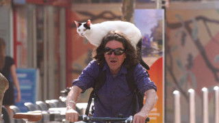 CAT ENCOUNTERS: A Ticket to Ride!