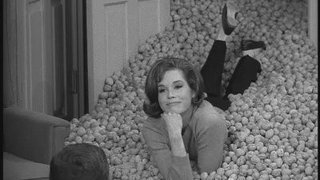 It May Look Like a Walnut!