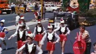 The Waratah Festival