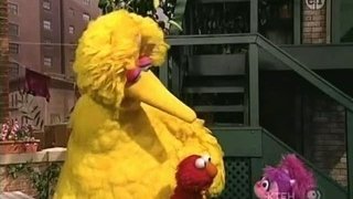 Big Bird, Elmo & Abby, Song for 3