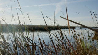 Duck Hunt | The Natural Way