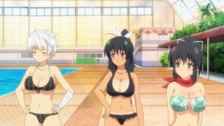 Senran Kagura: Estival Versus – Festival Eve Full of Swimsuits