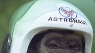 Judy and the Astro-Chimp