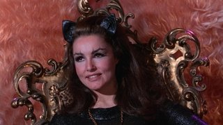 That Darn Catwoman