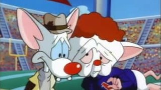download pinky and the brain star warners download pinky and the brain star warners
